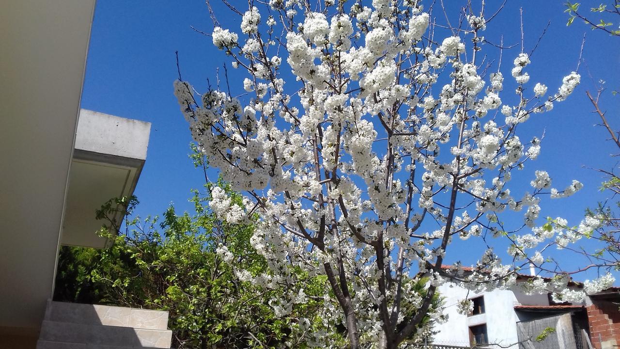 Apartments Vladimir Agios Nikolaos  Esterno foto